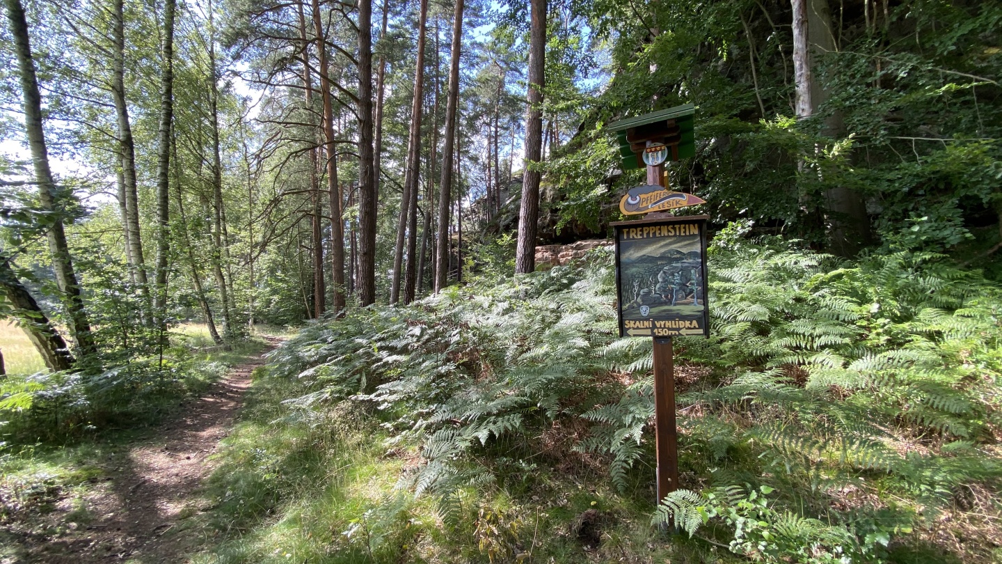 Pfeiferův lesík a vyhlídka Treppenstein